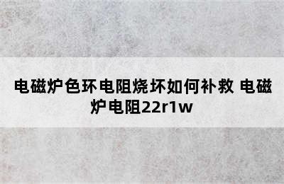 电磁炉色环电阻烧坏如何补救 电磁炉电阻22r1w